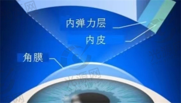 上海近期的近视手术参考价格表