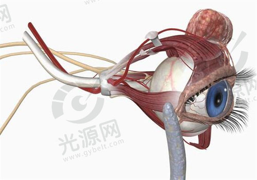 视神经炎治疗方式之药物治疗