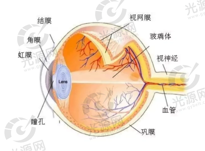 丹东德国蔡司全飞秒激光医院排名