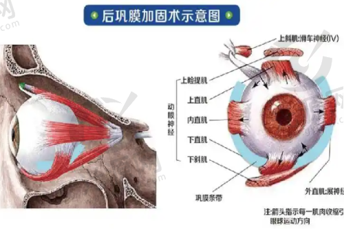 三、沈阳杏林整形医院的口碑如何