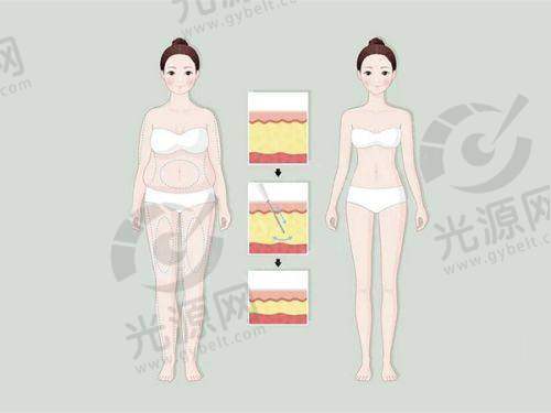 六、医生收费价目表明细