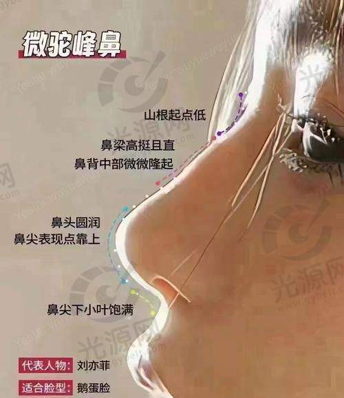 深圳整鼻子比较有名的医生排名第四：罗志敏医生