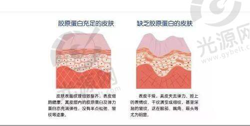六、南宁熠美整形医院医生收费价目表