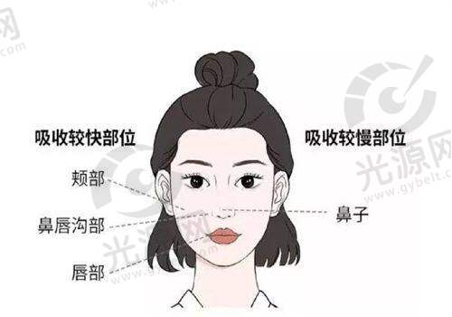 真正的实例分析