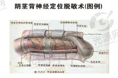 李冰冰医生的妇科整形实例