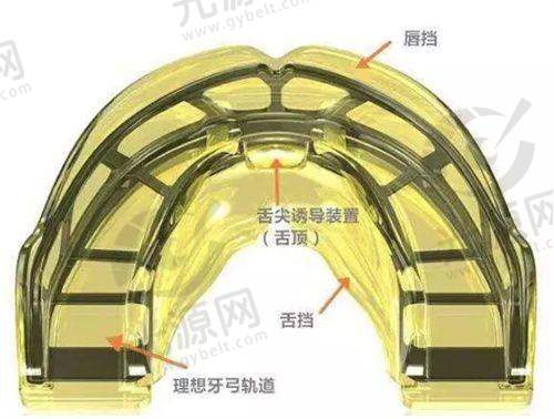 片切后口腔健康难以保护