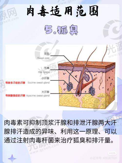一、深圳鹏程医疗美容医院的医生怎么样，资质及成就