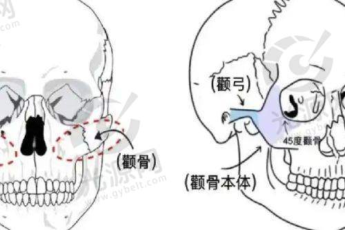 二、郑州整形行业收费情况