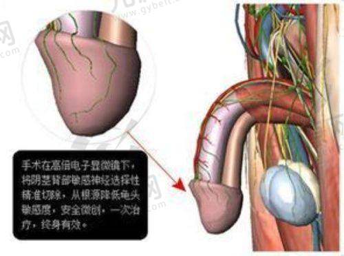 4. 皮肤美容项目价格