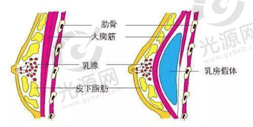 潘双满医生的医疗水平与技术优势