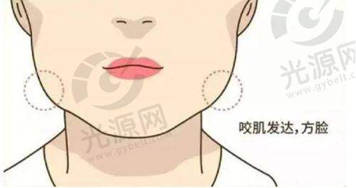 总结与选择建议