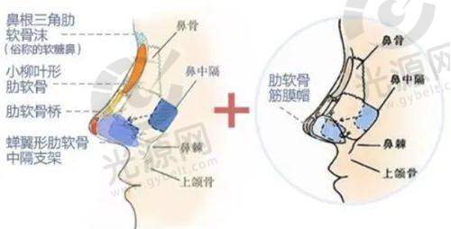四、飞悦整形医院详细地址与联系方式