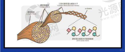 六、昆明华美医院收费明细
