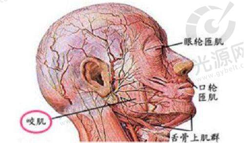 肋骨鼻鼻尖发白怎么办:早期护理的重要性