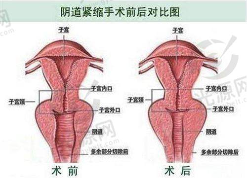 四、泛美瑞亚医疗美容门诊的地理位置和联系方式