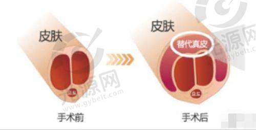 二、洛阳爱尚整形医院擅长项目介绍
