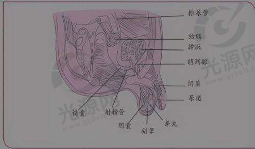总结