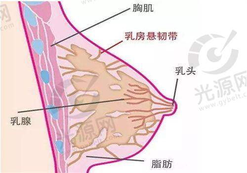 总结