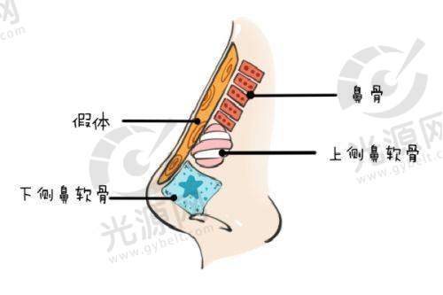二、韩国纯真整形外科的技术优势与医疗服务