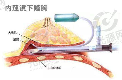 五、南京yestar整形医院的医生预约攻略