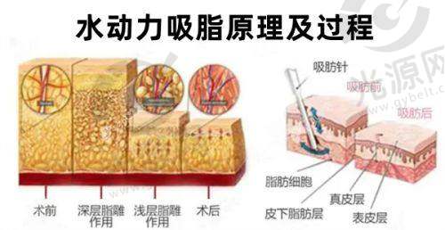 8. 驻马店雅坤卫红医疗美容诊所 - 健康与美丽并重
