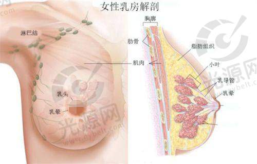 3. 苏州圣爱整形医院 - 注重个性化的整形设计