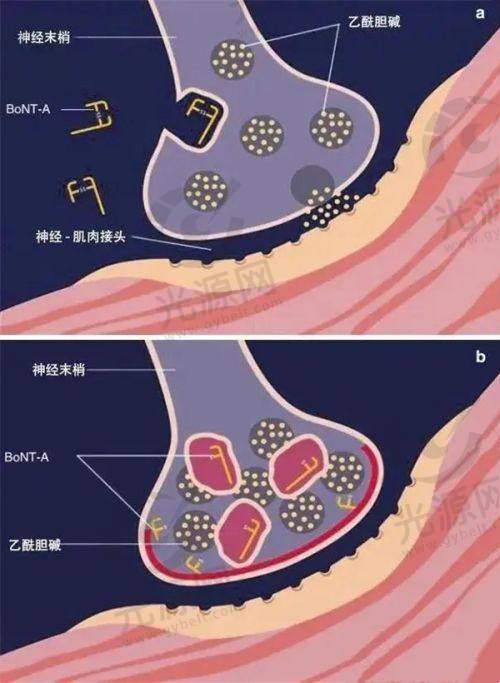 总结：选择扬州黄蝉院长，改变从这里开始