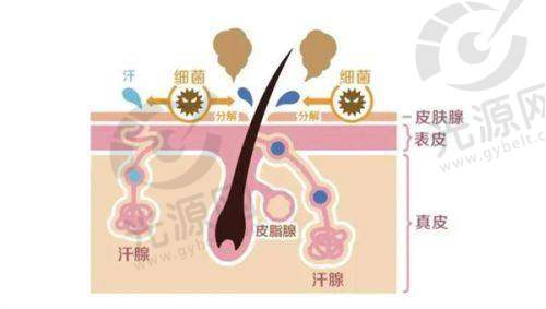 一、南京yestar整形医院简介