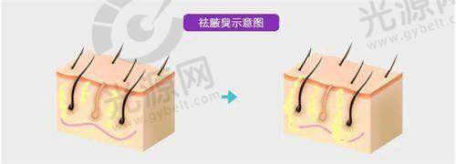 二、名仕美疗：专精项目的技术优势与医生水平