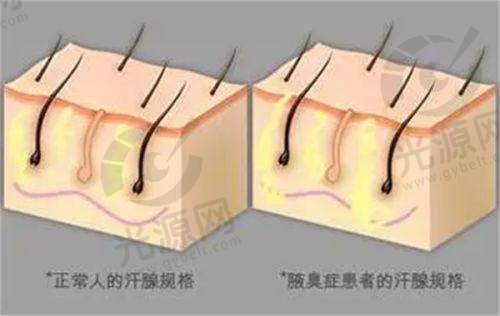 四、国内医学科学 院整形外科医院(北京八大处)详细介绍