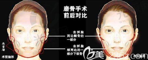 二、技术优势与擅长项目