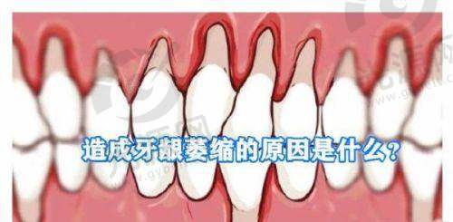 2. 上海泰康拜博口腔 - 多家分院的专精网络