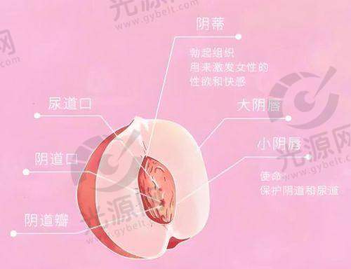 女性私密部位黑黑的怎么去除：激光治疗