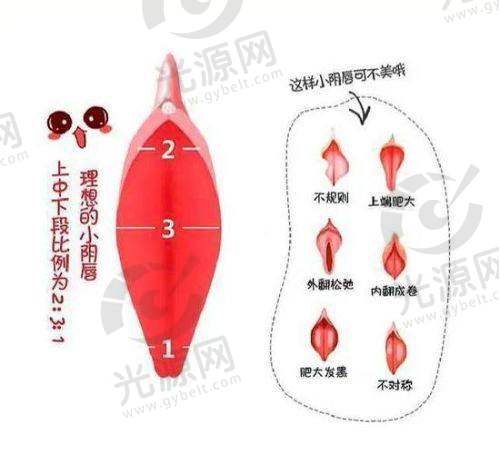 私处美白手术多少钱：常见项目与费用概况