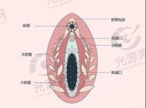 增强的隐私保护与专精性结合