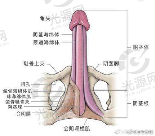 实际实例与行业数据