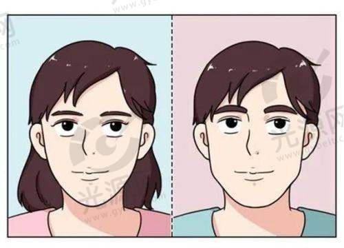 总结：去势手术整形医院询问的重要性