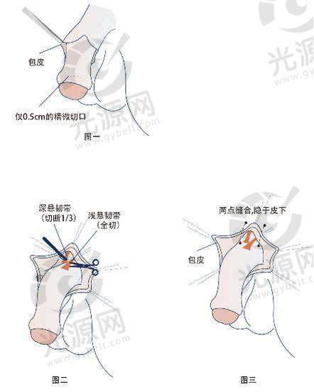 总结与建议