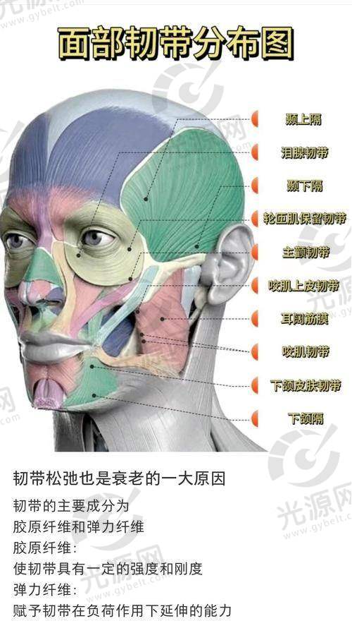 高周波去咬肌潜在风险与失败实例