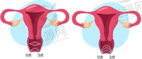 打紧缩针的预约方式