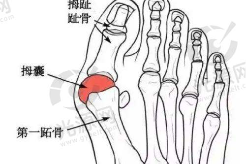 结语：选择姚乃君医学美容提拉速姚乃君联学医师的明智之举