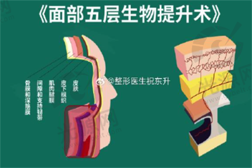 Fotona与菲蜜丽的行业调研与未来趋势