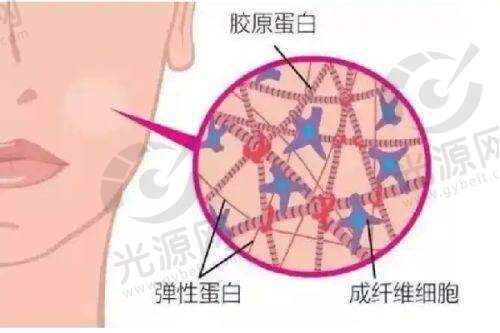 脱发液定价如何定