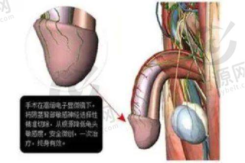 上海时光整形外科医院电话