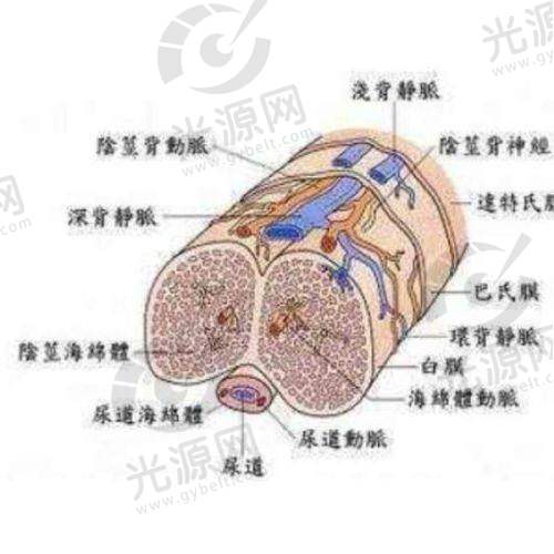 五、萍乡优美整形医院预约挂号攻略