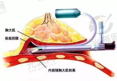 4. 武汉江城整形外科医院 - 专注于面部轮廓整形