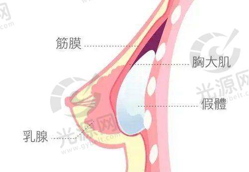 二、杏林整形医院沈阳擅长项目及技术优势