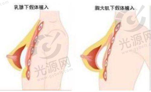 8. 日本永田小耳症整形外科