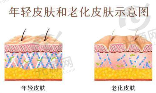 四、济南丽珍美容医院在哪里?详细介绍医院情况