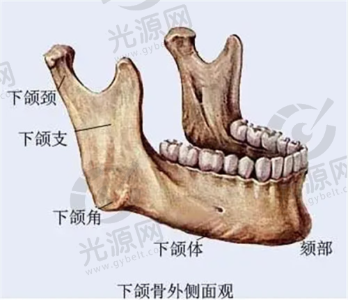 二、东营中 心医院医疗美容科擅长项目的技术优势